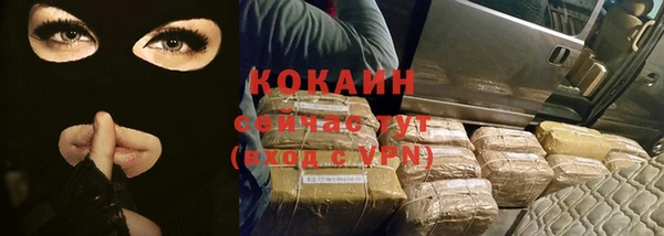 мяу мяу мука Горно-Алтайск
