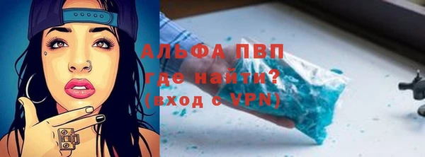 мяу мяу мука Горно-Алтайск