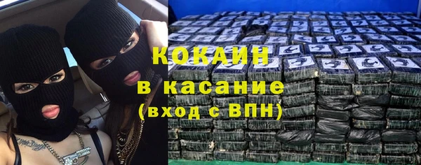 мяу мяу мука Горно-Алтайск