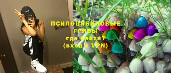 мяу мяу мука Горно-Алтайск
