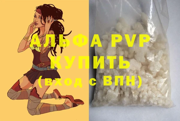 мяу мяу мука Горно-Алтайск