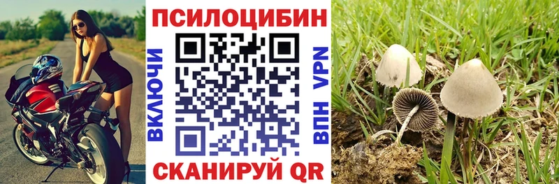 Купить где  Первоуральск  Псилоцибиновые грибы Magic Shrooms 